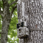 WiseEye DC 2 trail camera mounted outdoors, showing its compact design and lens for wildlife surveillance and outdoor monitoring.