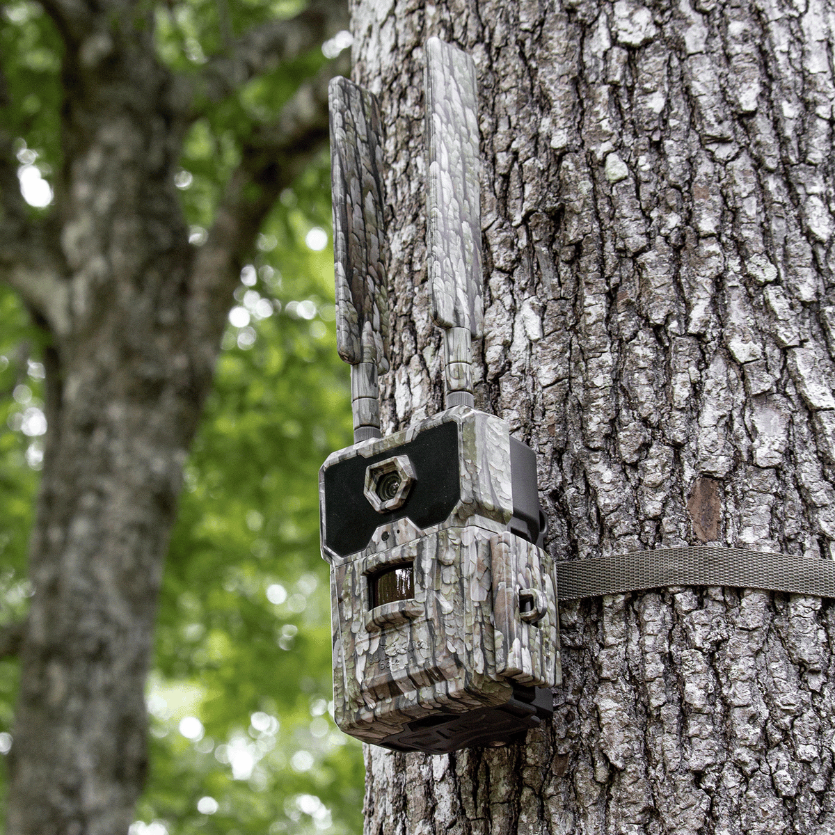 WiseEye DC 2 Trail Camera