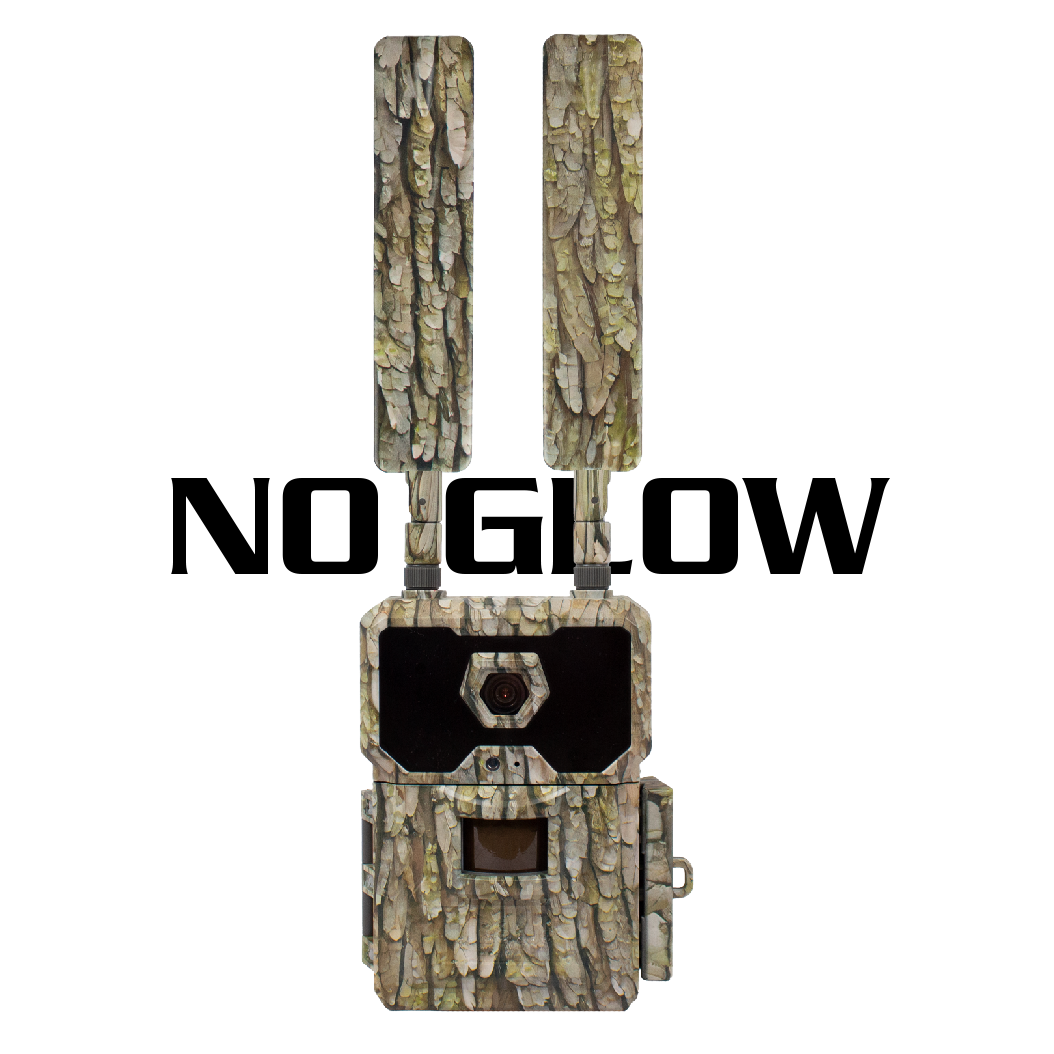 WiseEye DC 2 Trail Camera