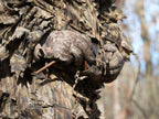 Leafy Suits DO IT YOURSELF HUNTER Camo - DO IT YOURSELF HUNTER