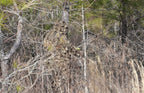 Leafy Suits DO IT YOURSELF HUNTER Camo - DO IT YOURSELF HUNTER